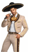 Traje De Mariachi Charro Completo Bordado
