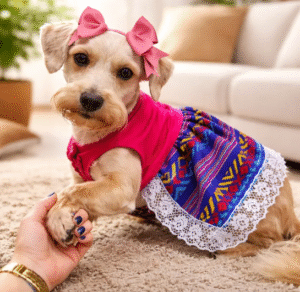 Vestido Perruno Artesanal